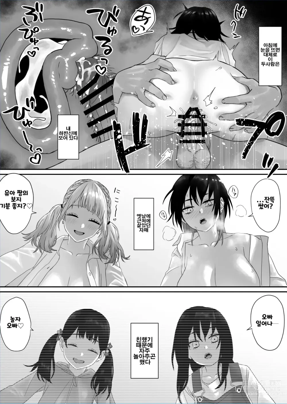 Page 4 of doujinshi 폭유 자매에게 안기다