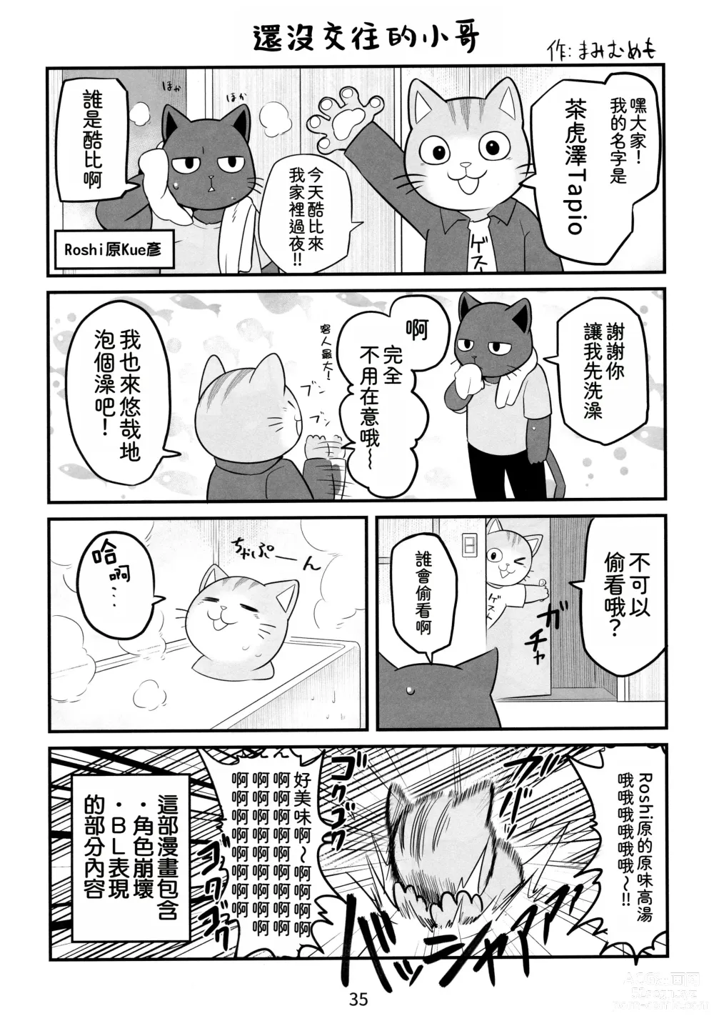 Page 35 of doujinshi 閃耀吧！小哥