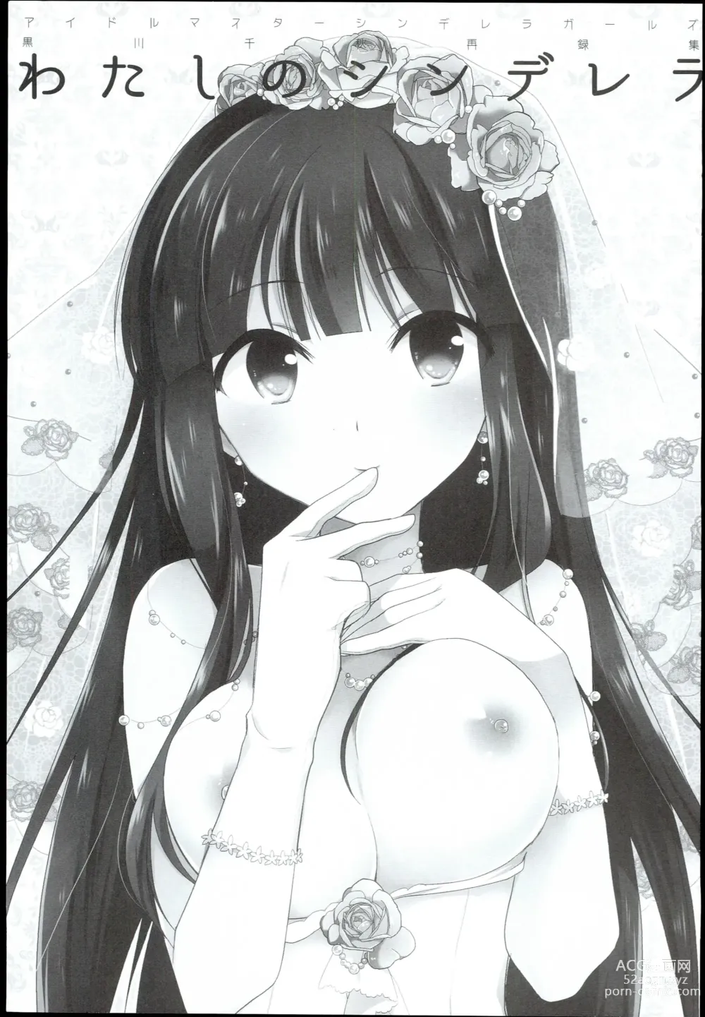 Page 3 of doujinshi Watashi no Cinderella Kurokawa Chiaki Sairokushuu