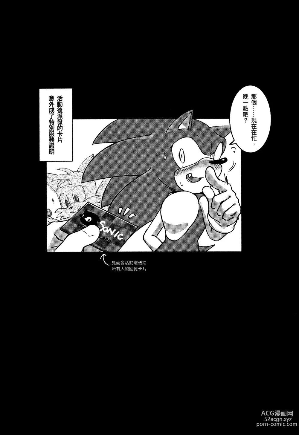 Page 11 of doujinshi Sonic Ranbou!! (decensored)