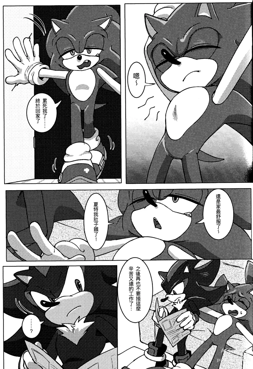 Page 12 of doujinshi Sonic Ranbou!! (decensored)