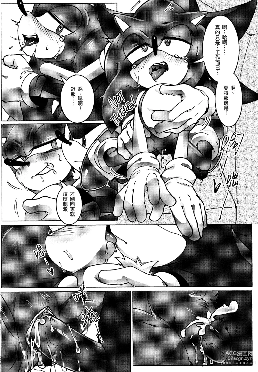 Page 15 of doujinshi Sonic Ranbou!! (decensored)