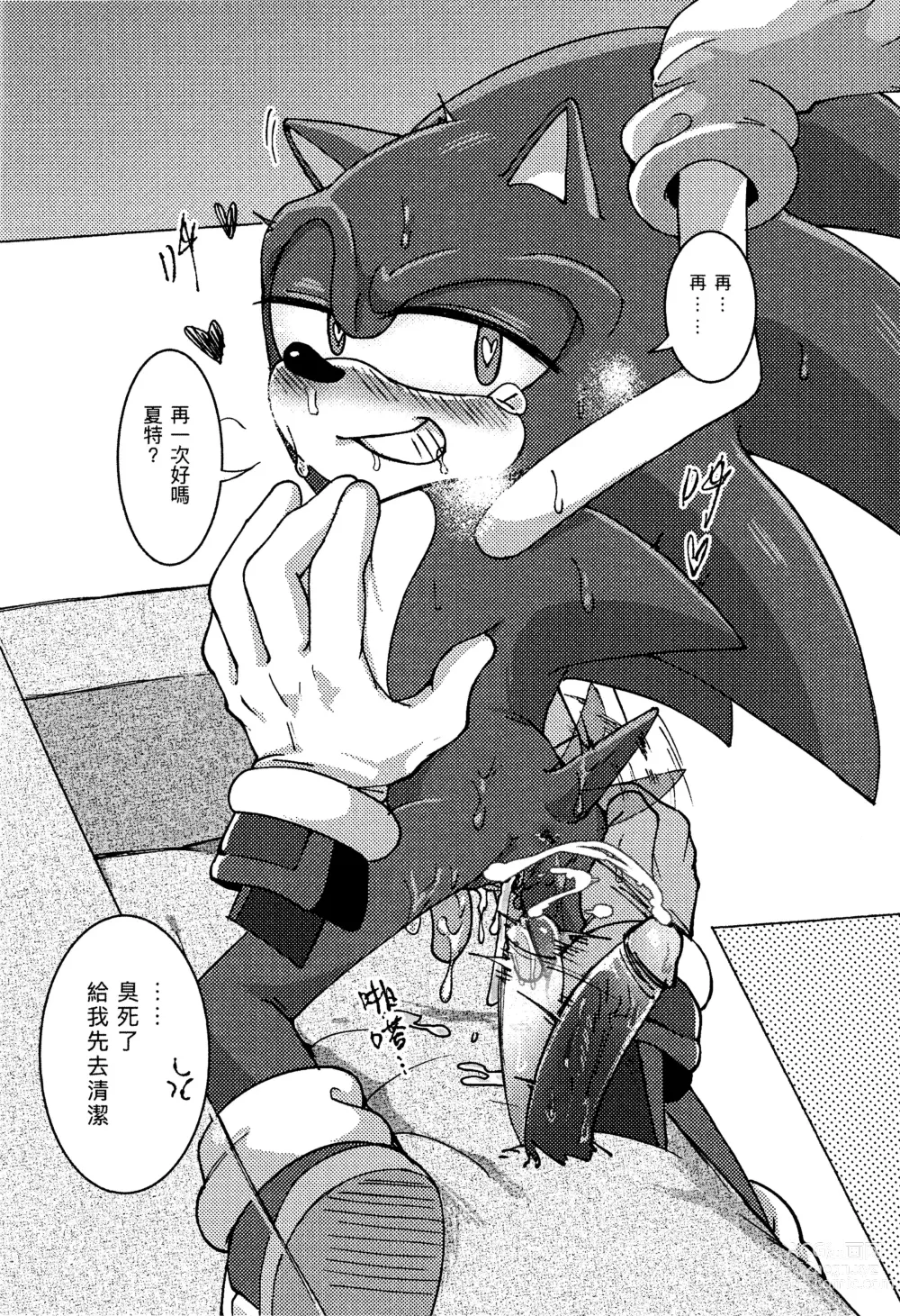 Page 17 of doujinshi Sonic Ranbou!! (decensored)