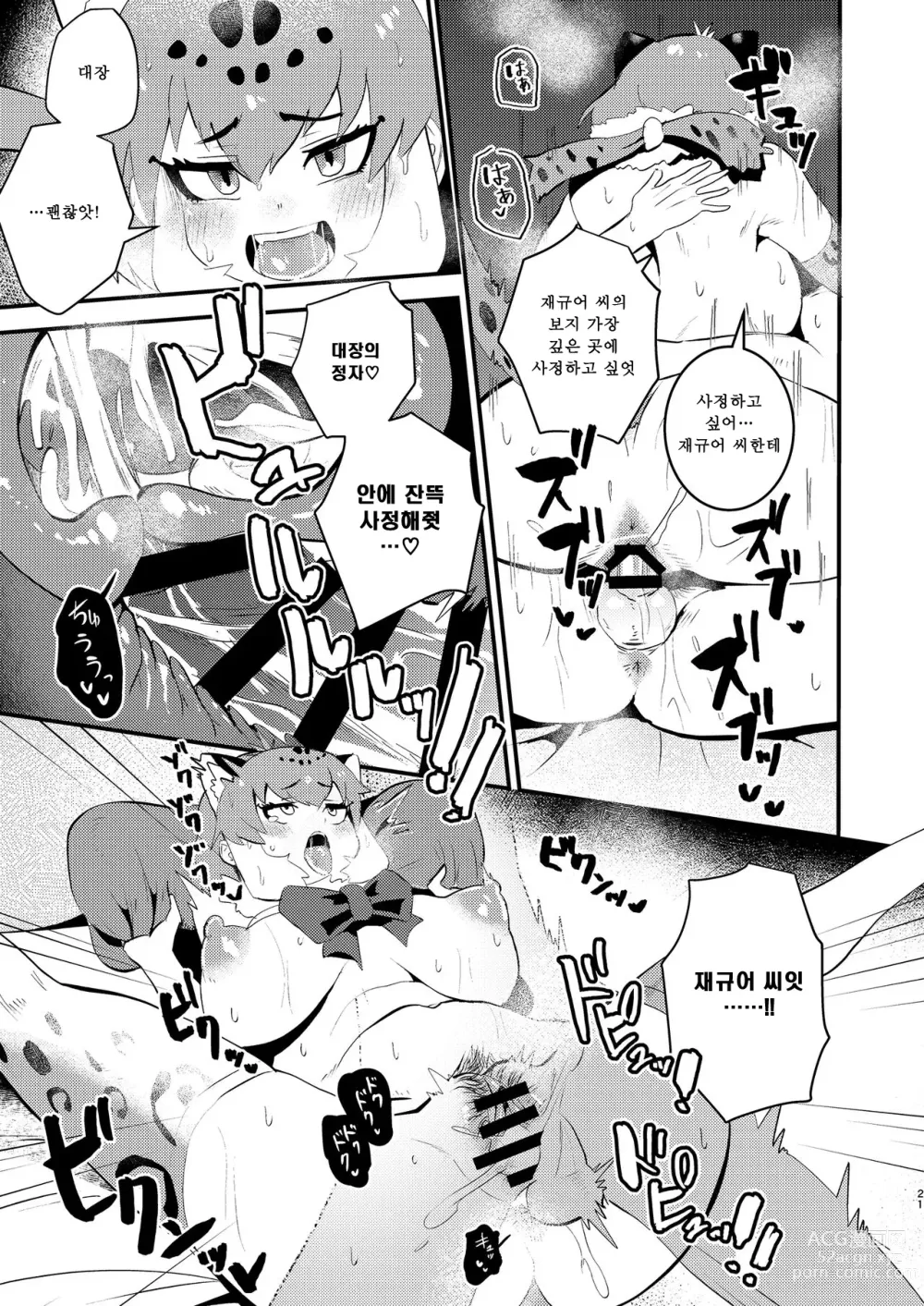 Page 21 of doujinshi Jaguar-san to Naisho Ecchi