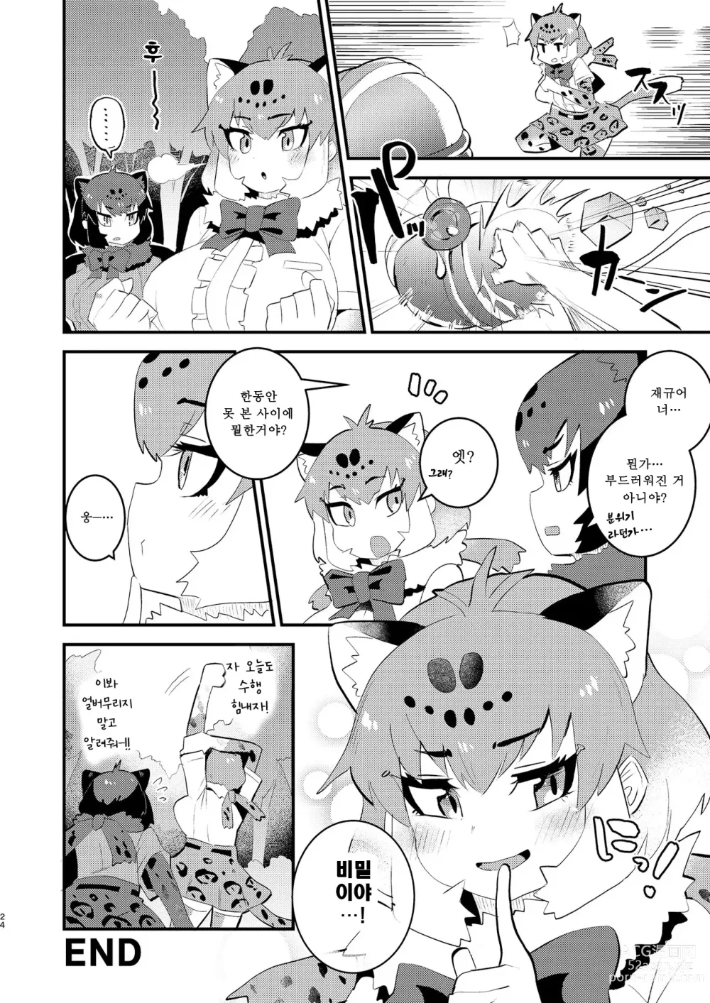 Page 24 of doujinshi Jaguar-san to Naisho Ecchi