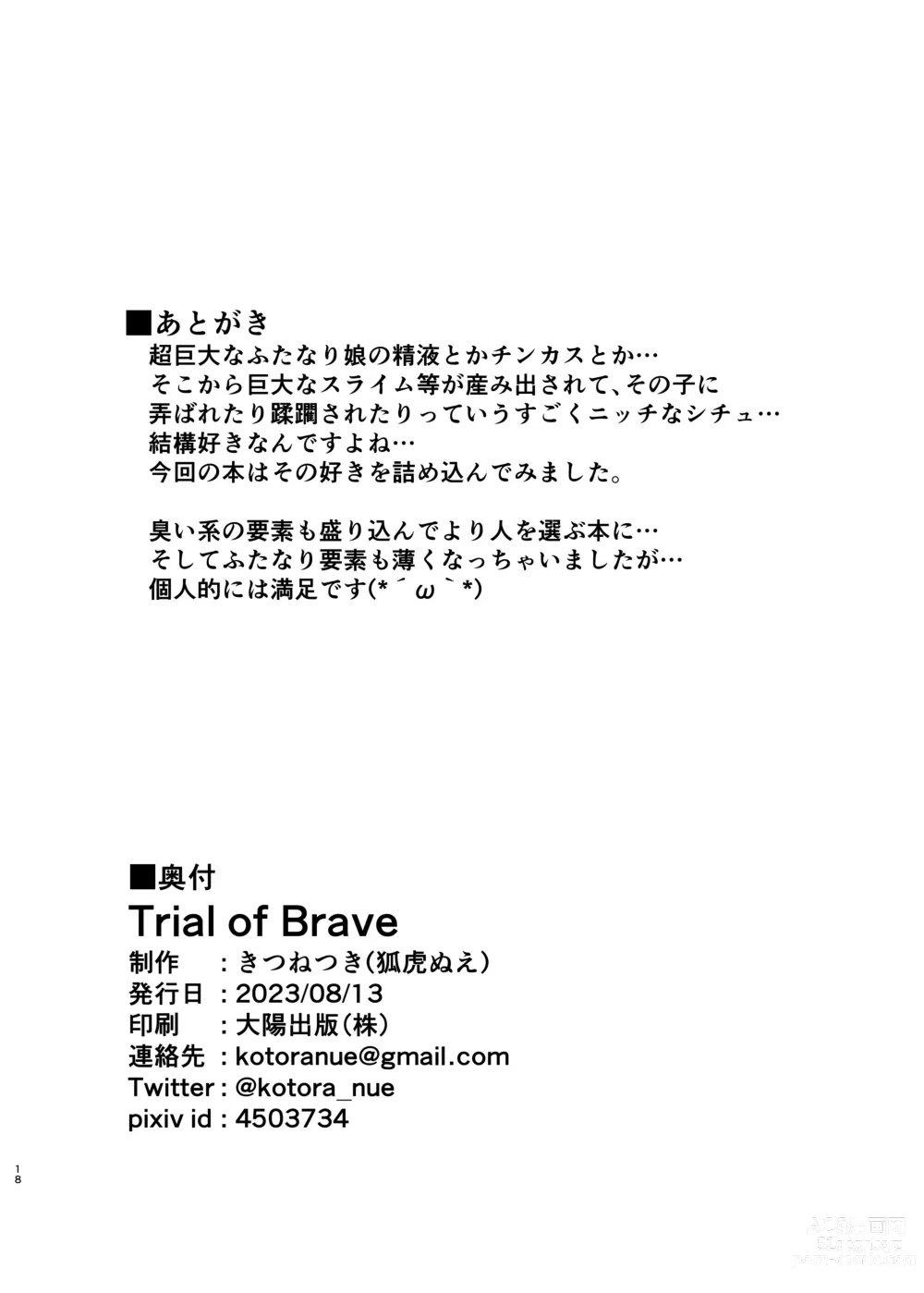 Page 18 of doujinshi Trial of Brave