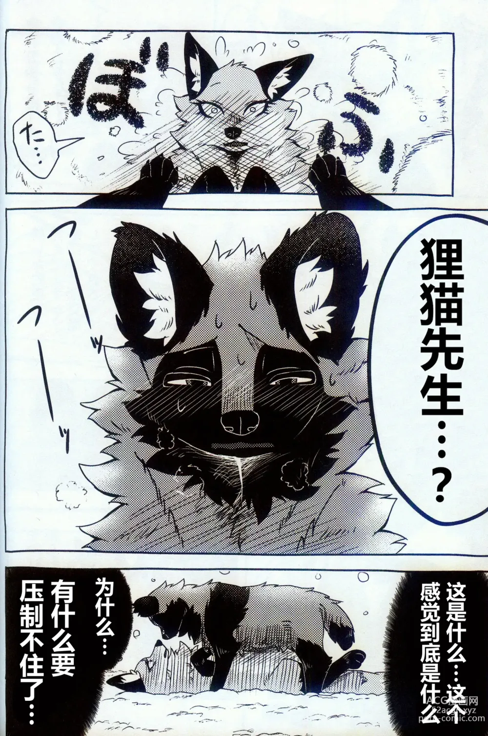 Page 11 of doujinshi 狂野不羁