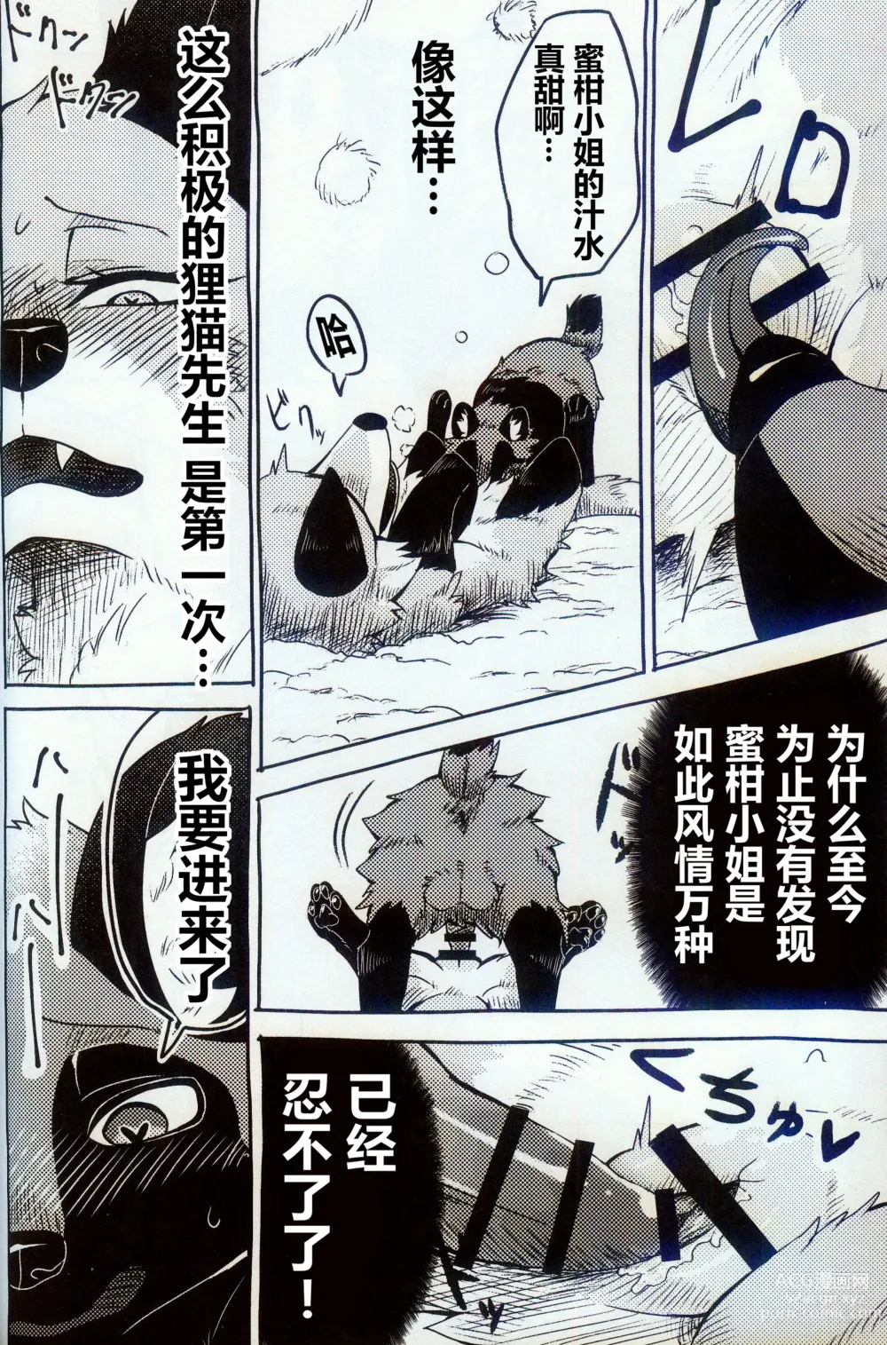 Page 13 of doujinshi 狂野不羁