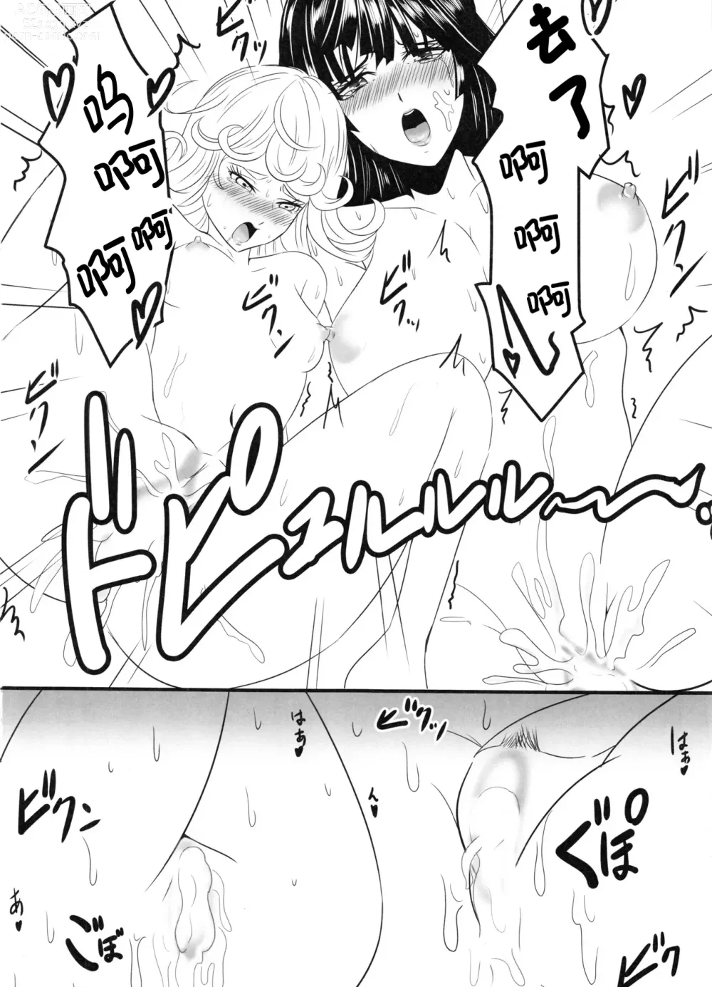 Page 17 of doujinshi 凹凸有致姐妹丼 第二击