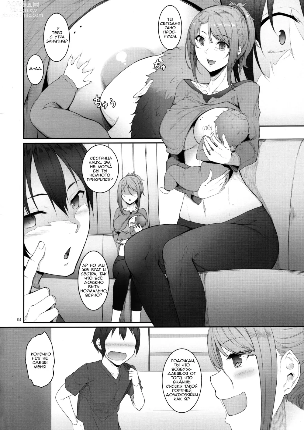 Page 3 of doujinshi Ane o Netotta Hi