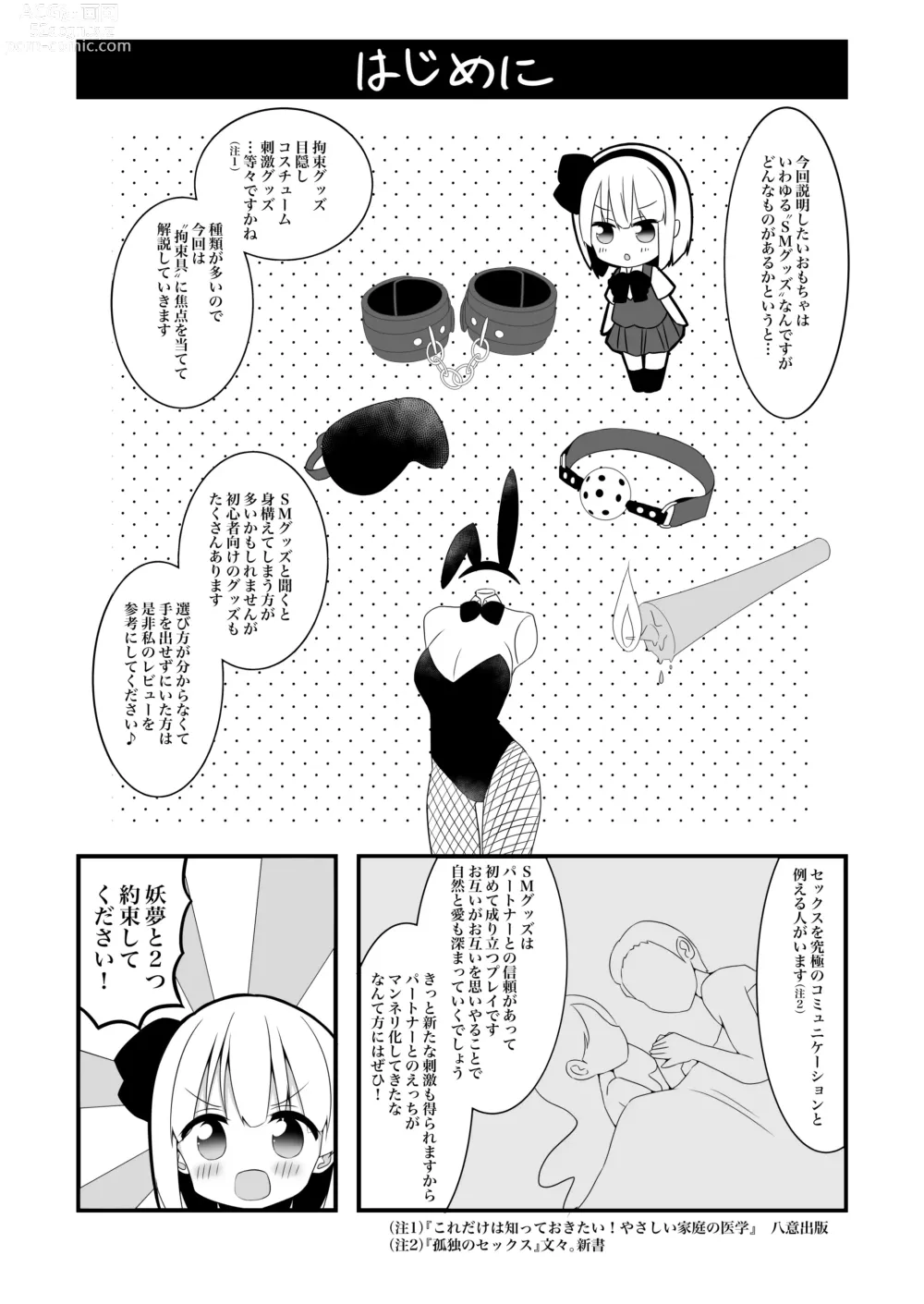 Page 5 of doujinshi Youmu-chan ga Adult Goods no Review o Suru Hanashi <Kousoku Hen>