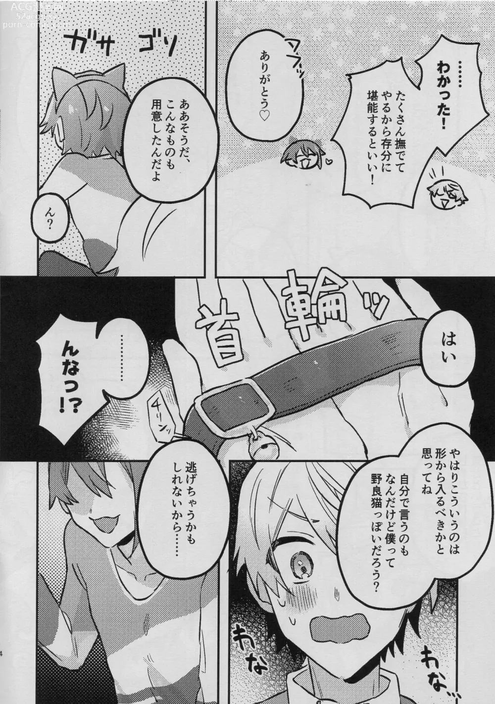 Page 4 of doujinshi TsukaRui ga Nyan Nyan suru Hon