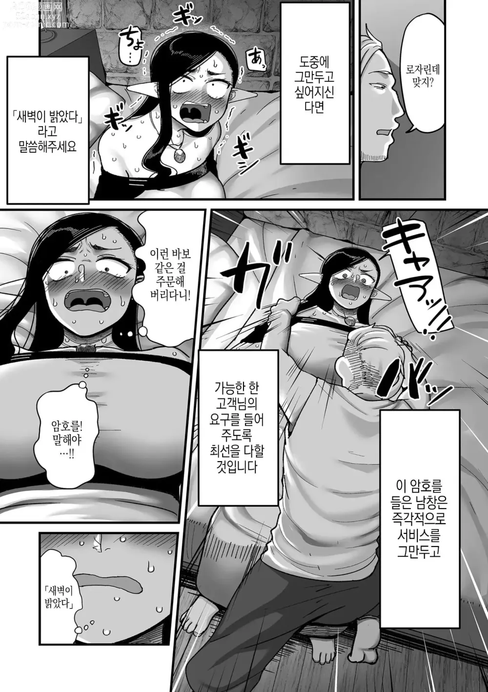 Page 11 of manga 엘프전용 남창딜리버리 서비스 2편 황혼의 로잘린데