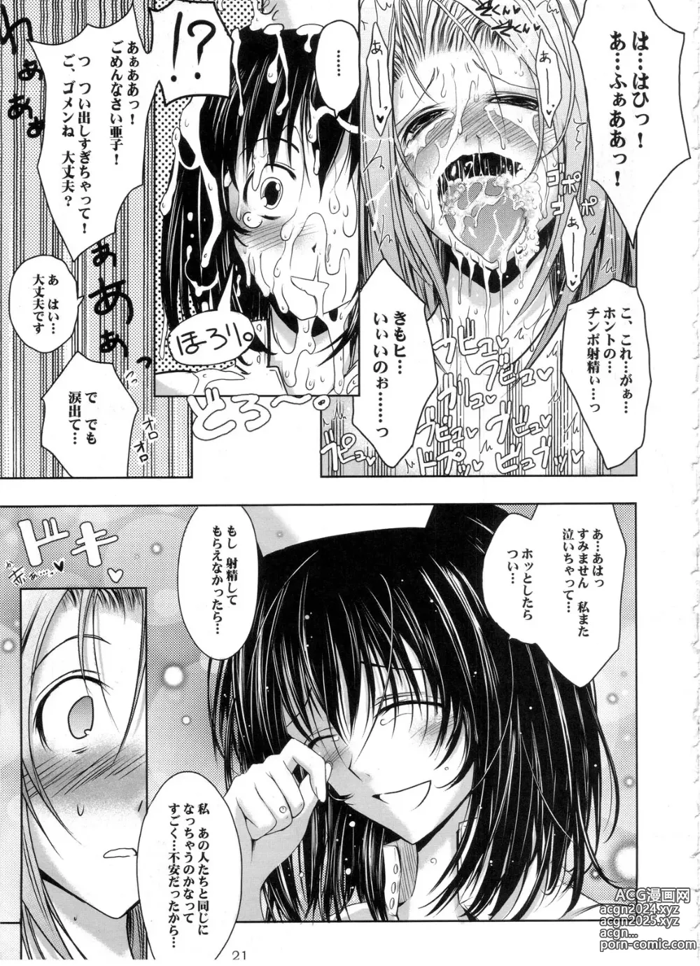 Page 20 of doujinshi Otome Byoutou