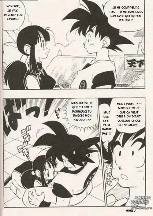 Page 2 of doujinshi DBZ The True Story