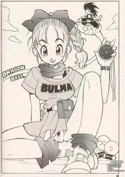 Page 9 of doujinshi DBZ The True Story