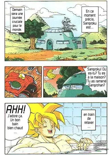 Page 2 of manga DragonBall H