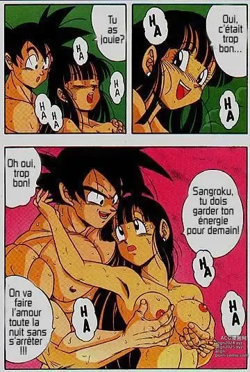 Page 17 of manga DragonBall H