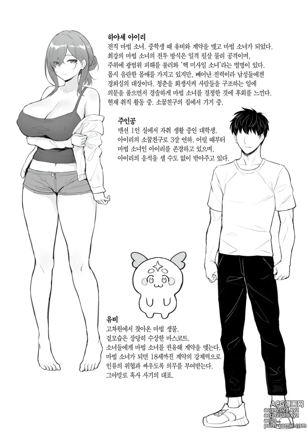 Page 31 of doujinshi 전직 마법 소녀의 히키코모리 생활 (decensored)