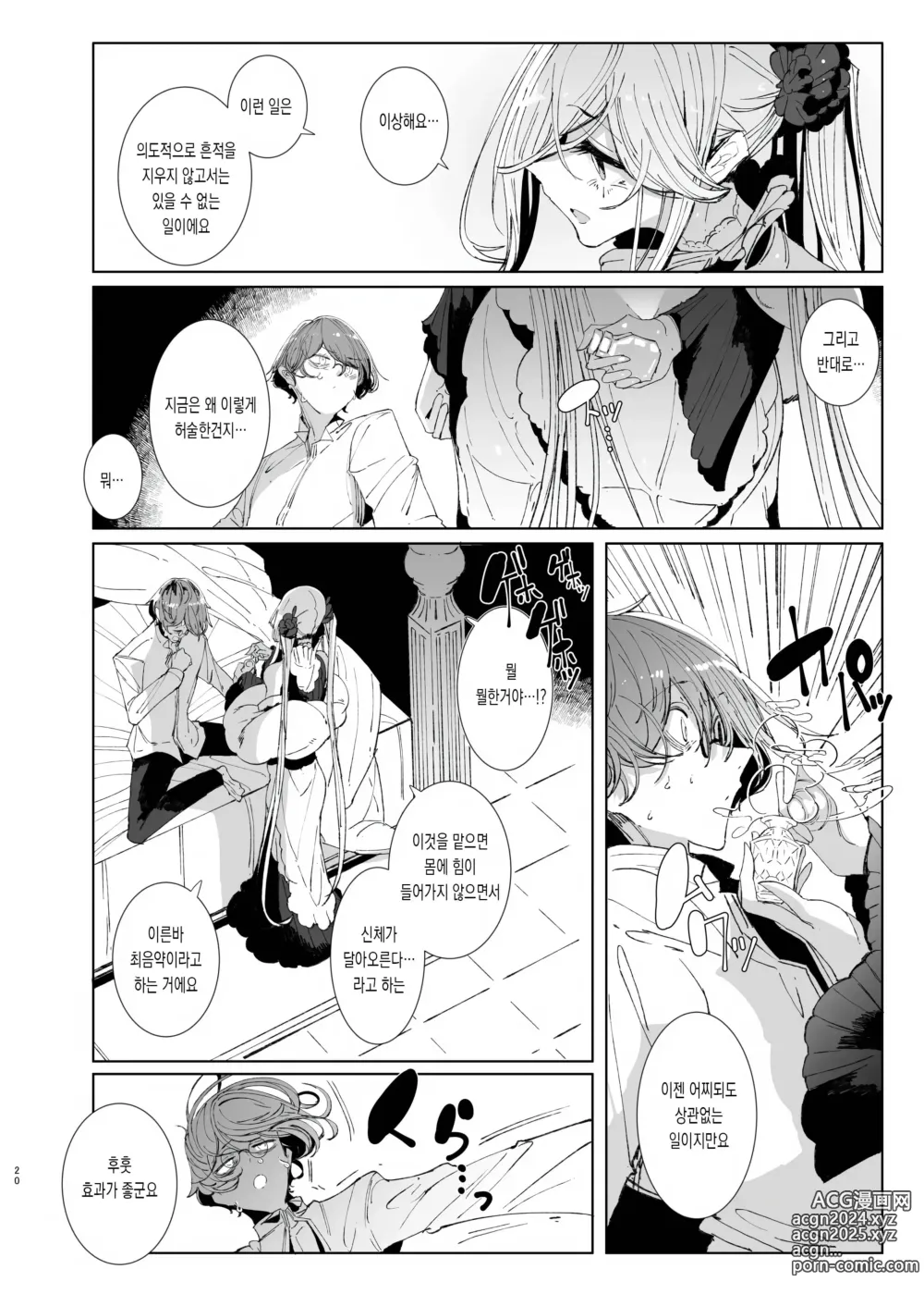 Page 19 of doujinshi 신사시중 메이드 소피씨 9