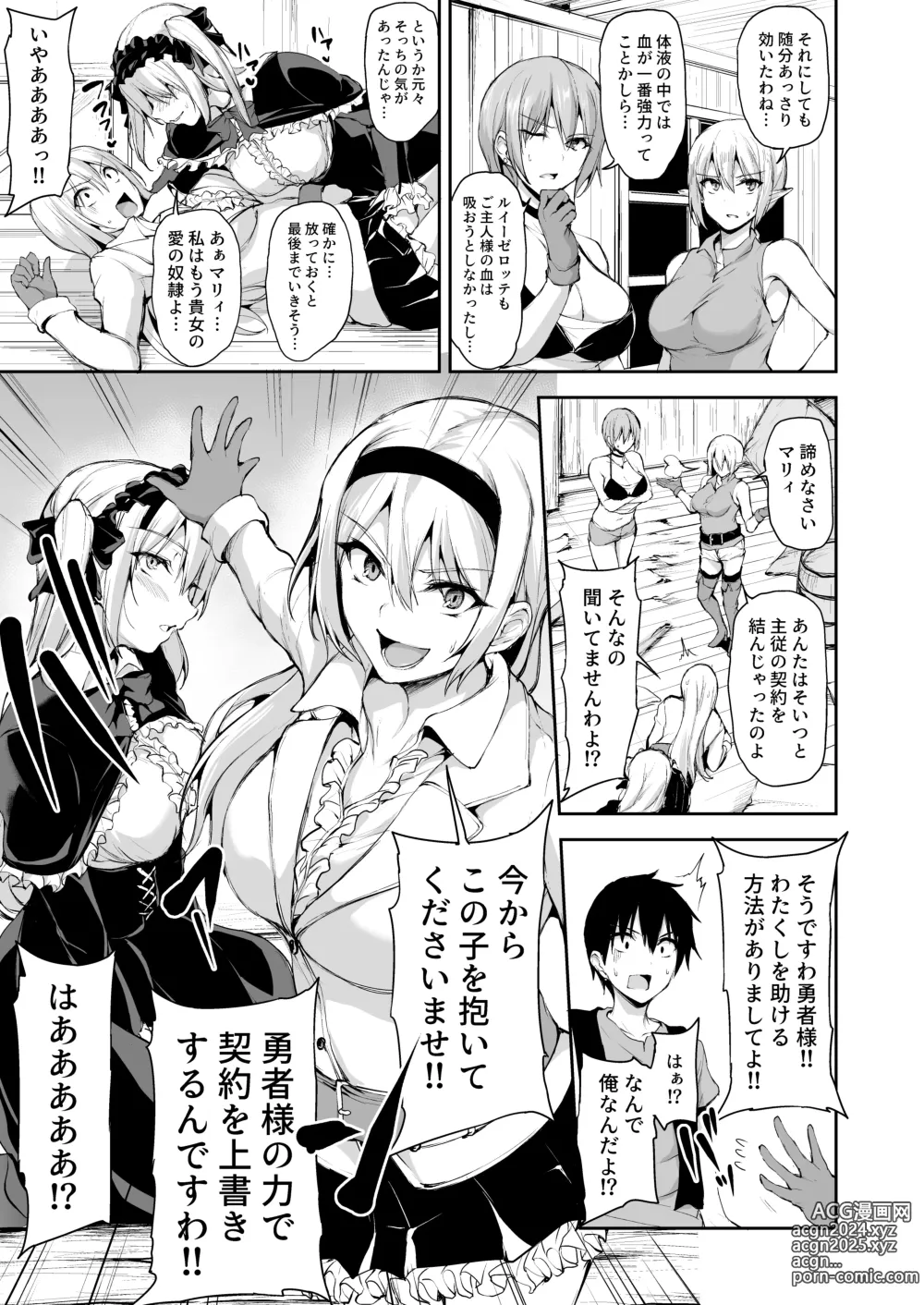 Page 26 of doujinshi Isekai Harem Monogatari 7