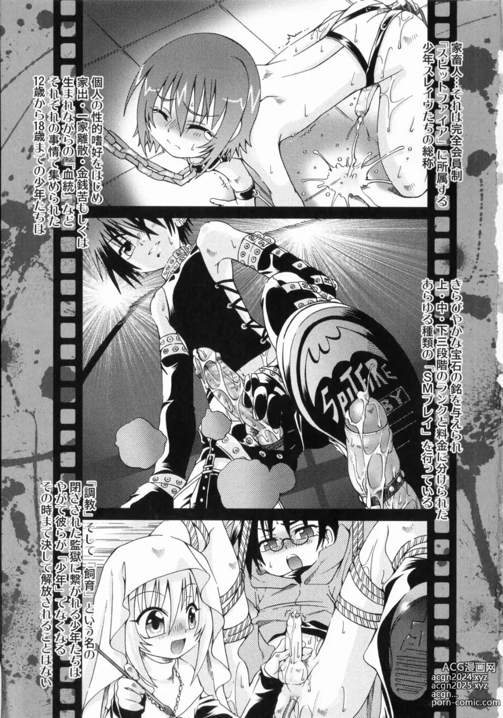 Page 6 of manga Spitfire Sireline