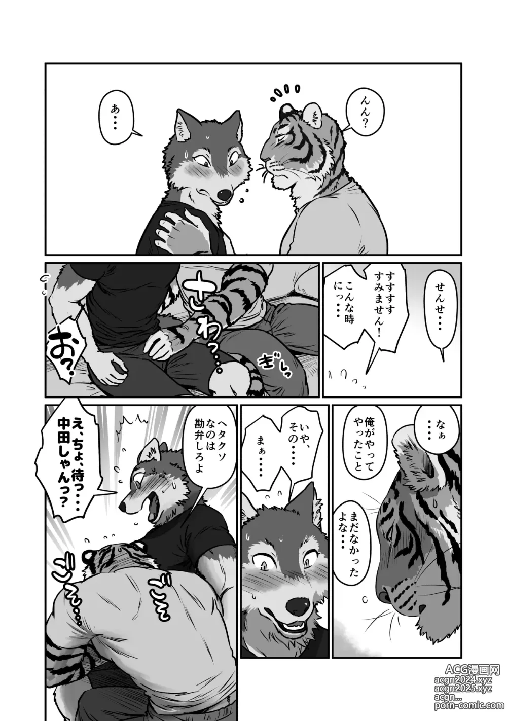 Page 15 of doujinshi Wolf Teacher & Tiger Daddy 2