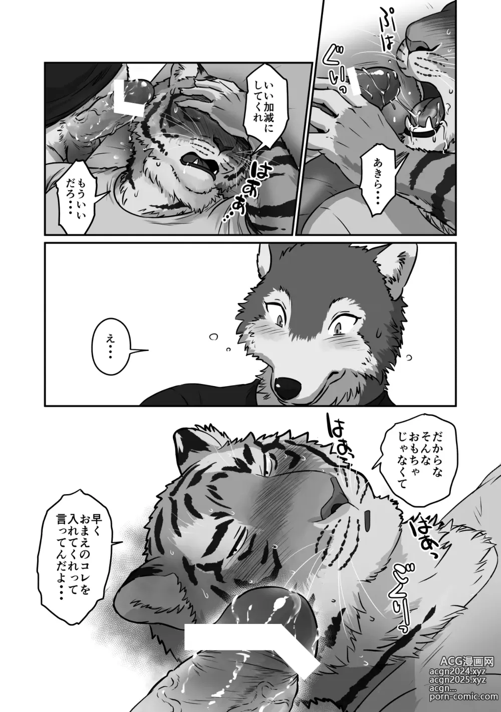 Page 26 of doujinshi Wolf Teacher & Tiger Daddy 2