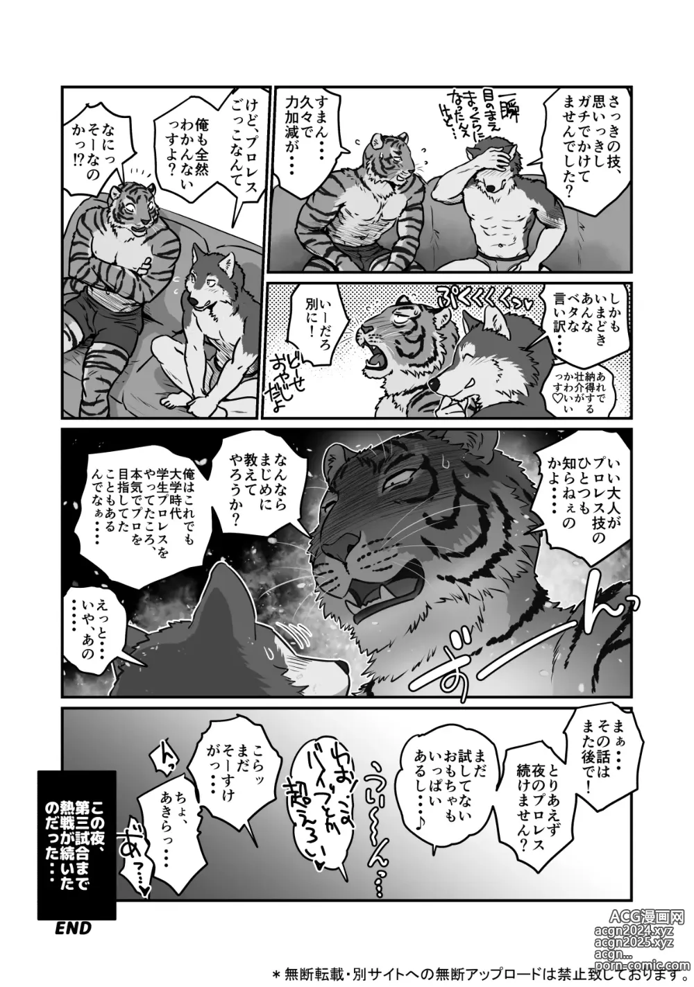 Page 36 of doujinshi Wolf Teacher & Tiger Daddy 2