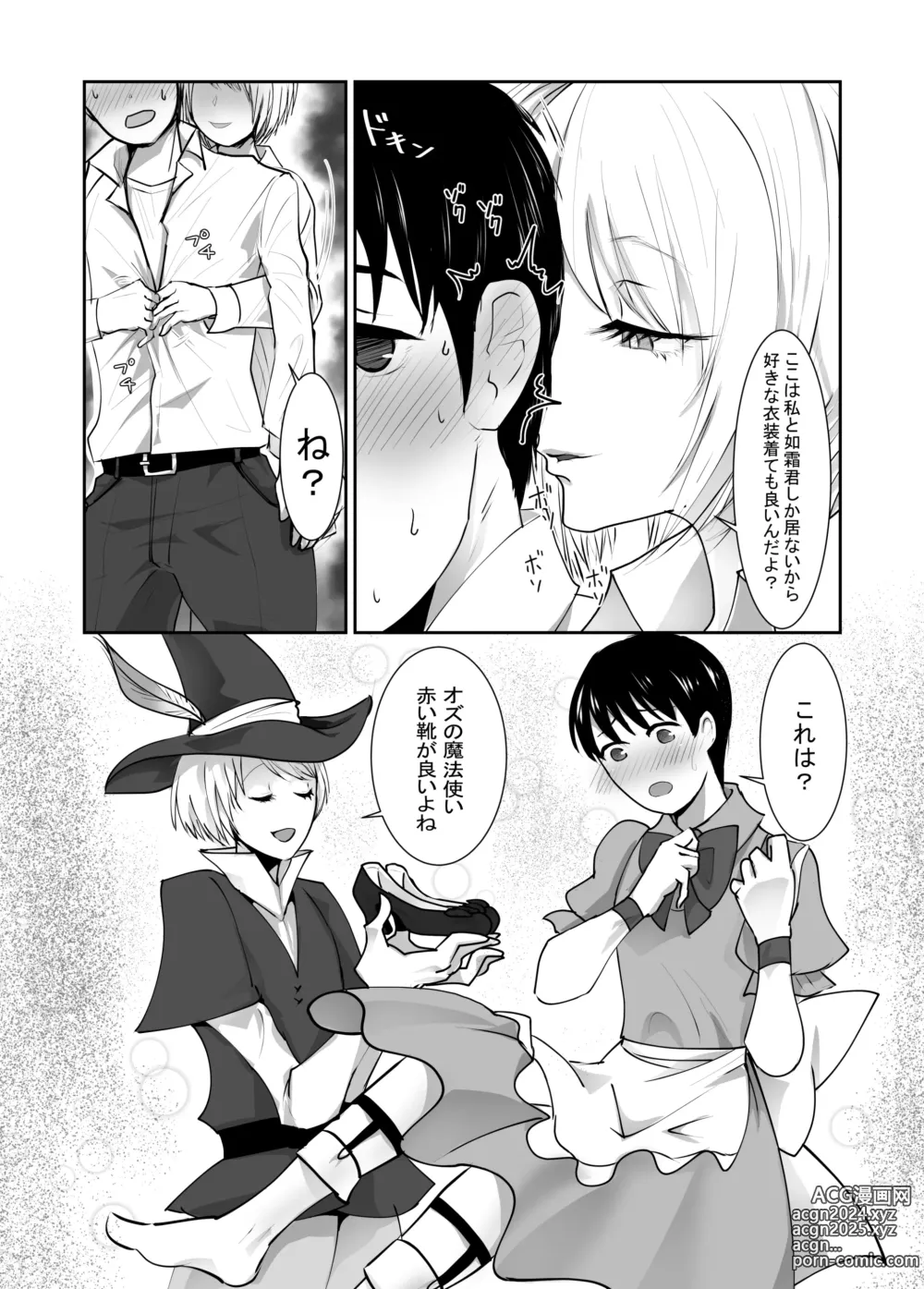 Page 25 of doujinshi Josou dansou EXCHANGE