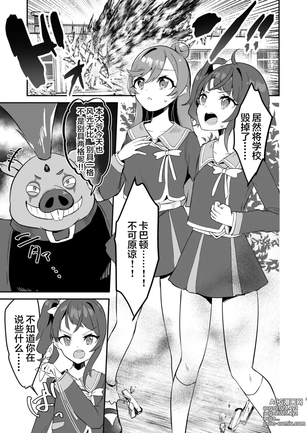 Page 3 of doujinshi Eiyuu ga Kairaku Ochi nante Suru Wake Arimasen