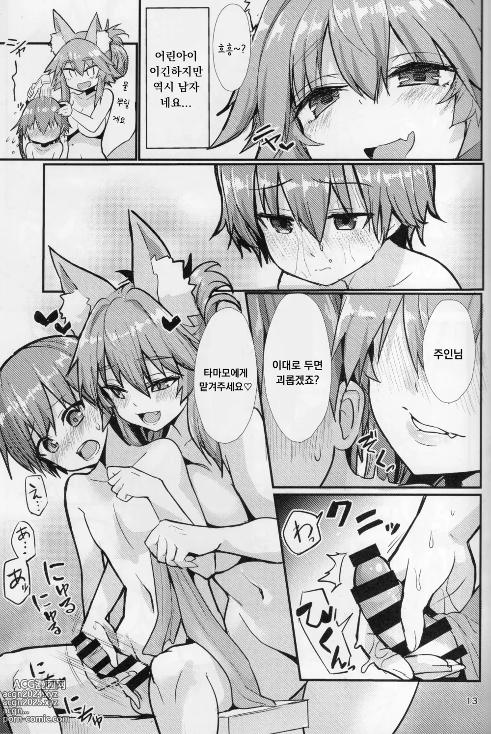 Page 13 of doujinshi Good Oneshota Wife Tamamo-chan