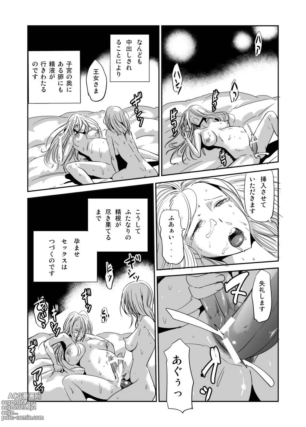 Page 3 of doujinshi Futanari Oukoku Oujo no Oshigoto