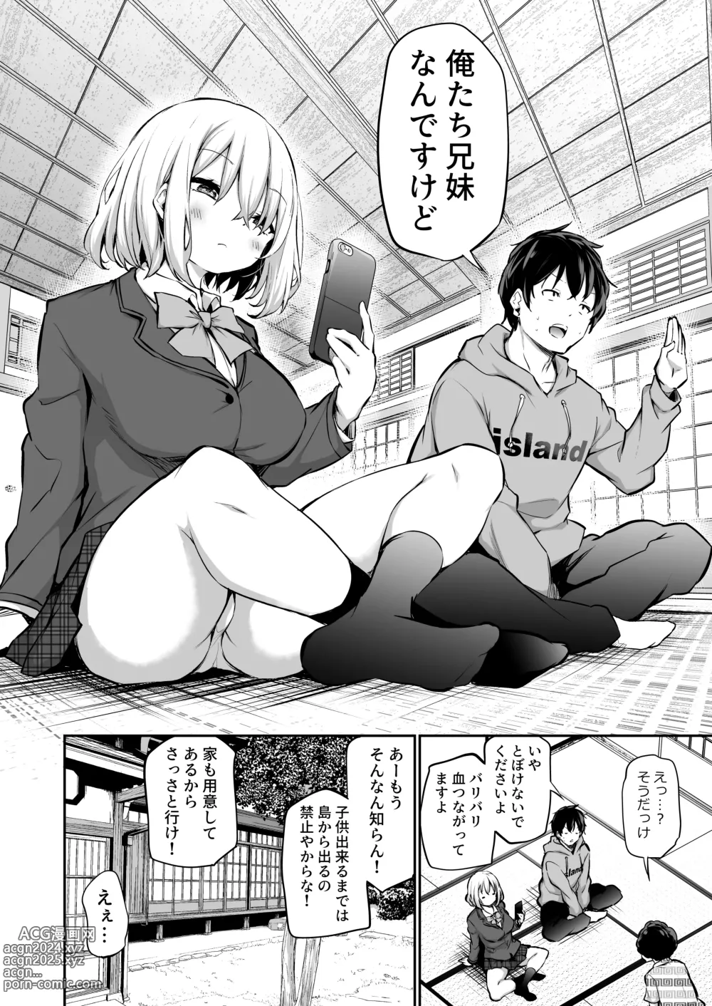 Page 3 of doujinshi Imouto Haramasenai to Derarenai Shima (decensored)