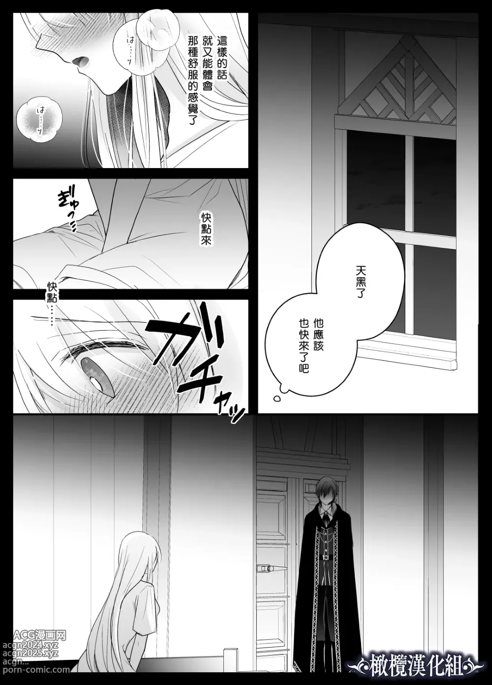 Page 36 of doujinshi kijo o  To su kairaku chōkyō - junketsu no utahime wa kishi ni midara ni ubawareru -｜让她堕落-快乐调教被骑士占有的纯洁歌姬-