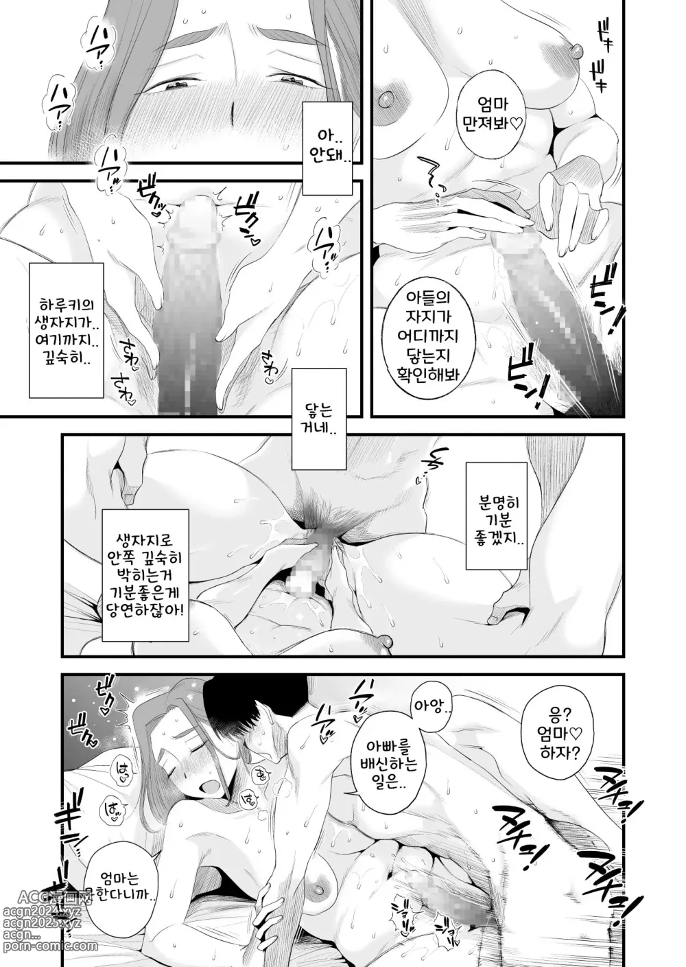 Page 10 of doujinshi 부친 공인! 하세가와 댁의 모자관계 ~부부의 침실에서 질내사정편~