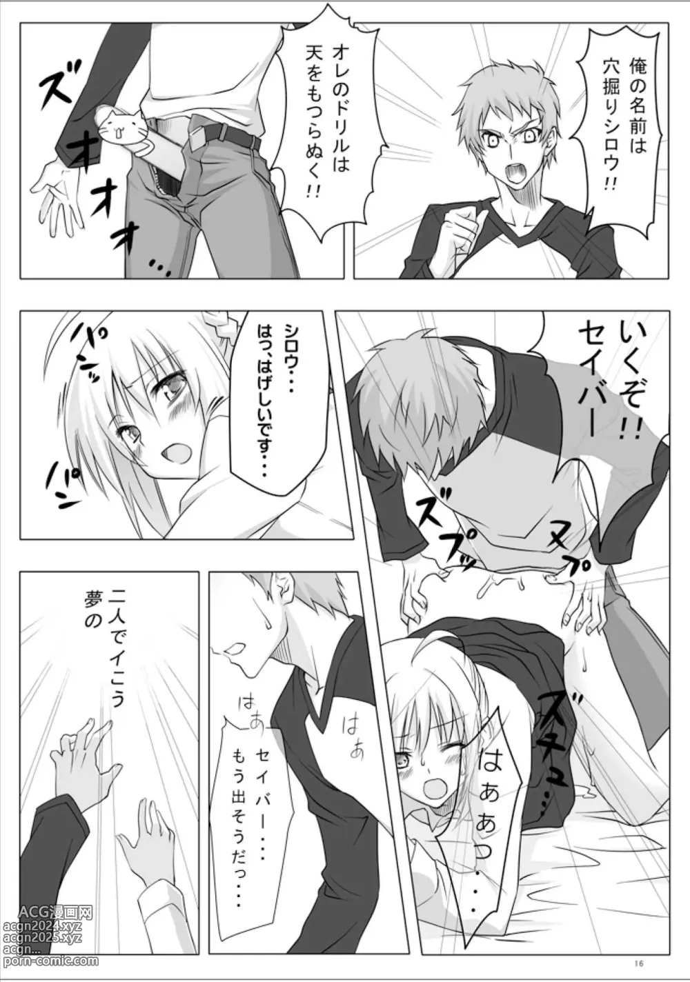 Page 15 of doujinshi 423 no Fate