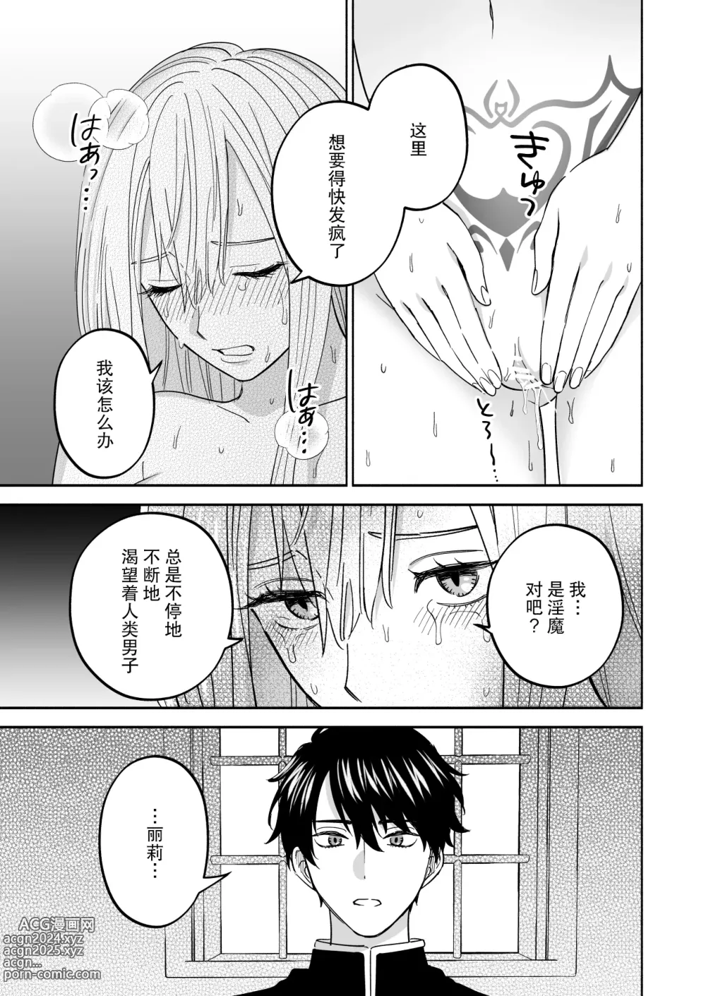 Page 26 of doujinshi 神父大人爱上了身为淫魔的我