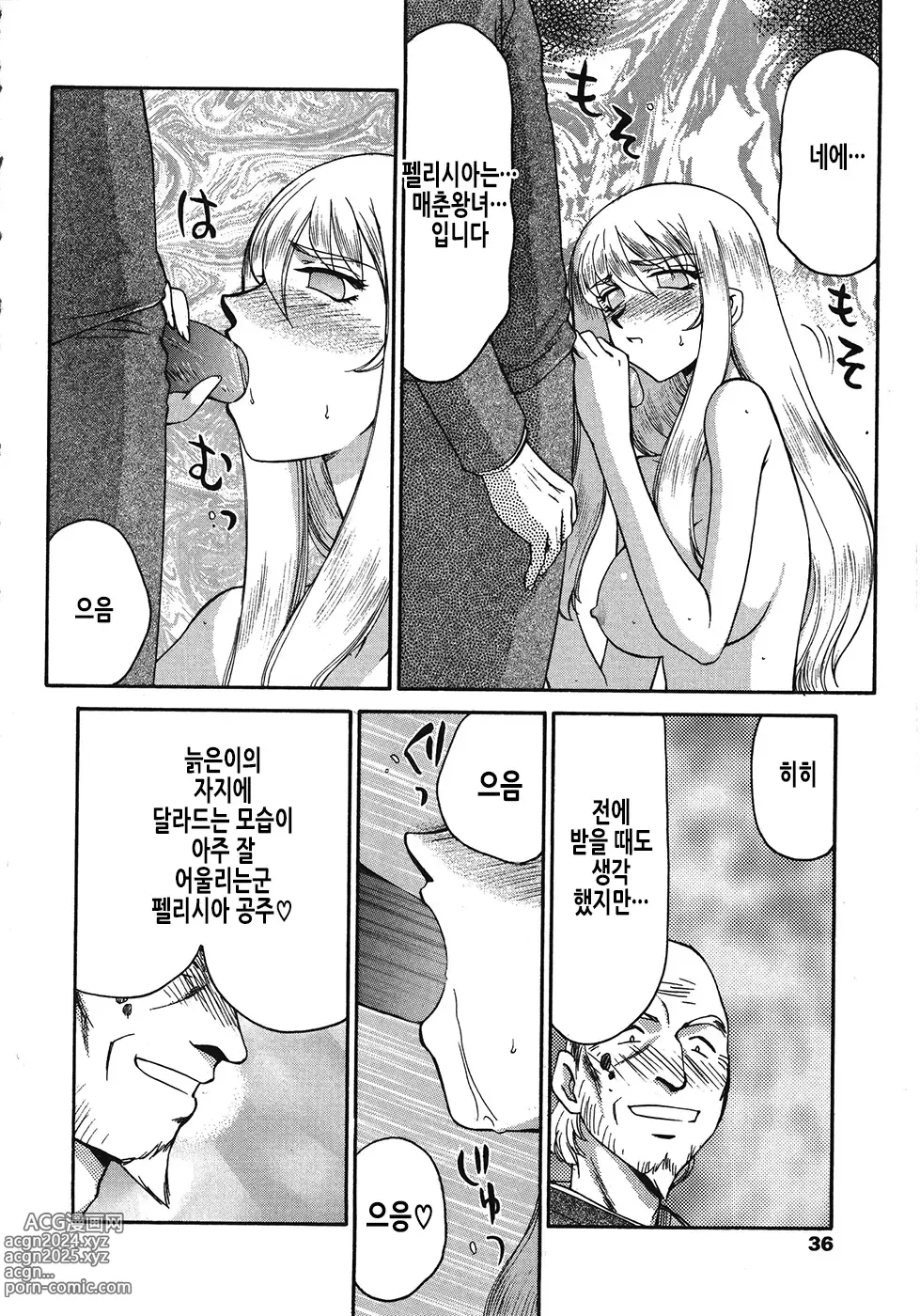 Page 37 of manga 성왕녀 펠리시아 하편