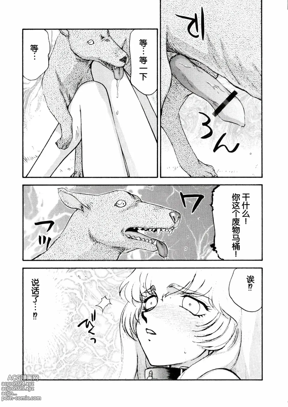 Page 21 of doujinshi Nise DRAGON BLOOD! 13.