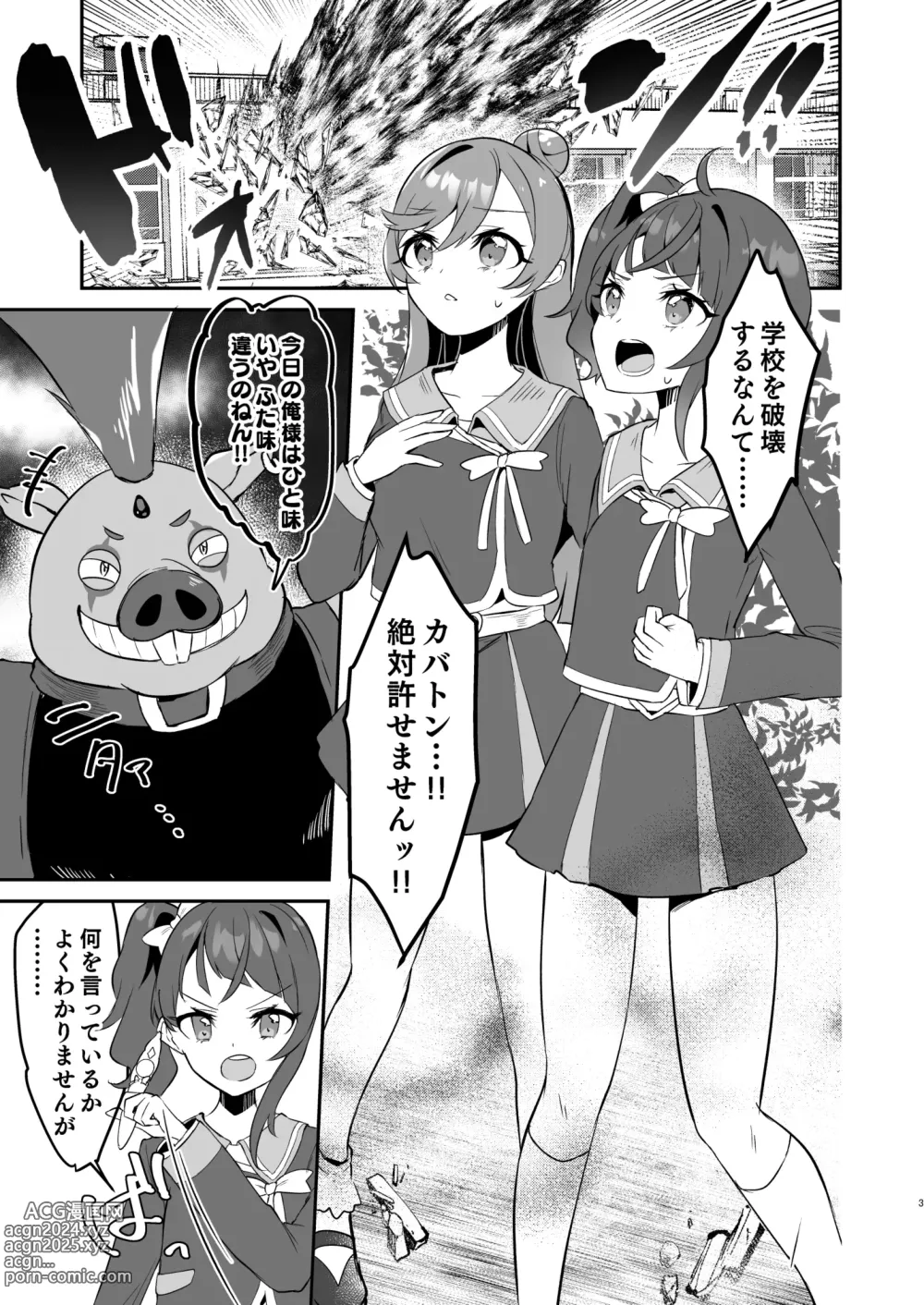 Page 3 of doujinshi Eiyuu ga Kairaku Ochi nante Suru Wake Arimasen