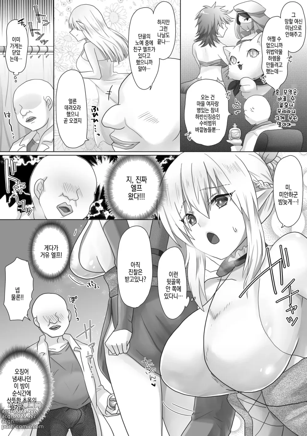 Page 11 of doujinshi Funin Elf-san, Isekai Fujinka de Haramase