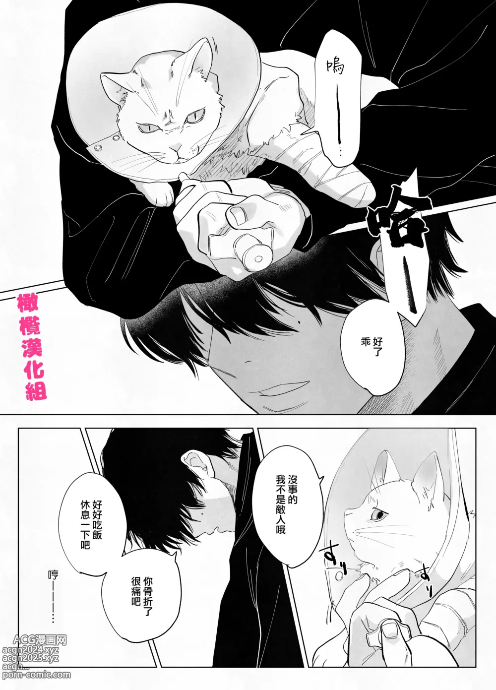 Page 6 of doujinshi bake neko to mibōjin｜猫与未亡人