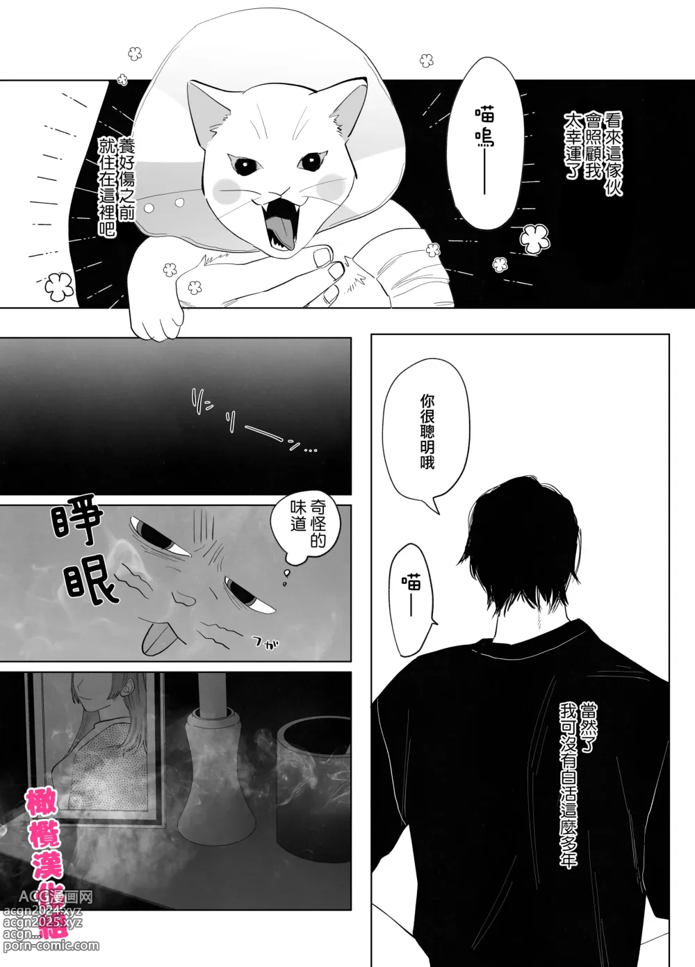 Page 7 of doujinshi bake neko to mibōjin｜猫与未亡人