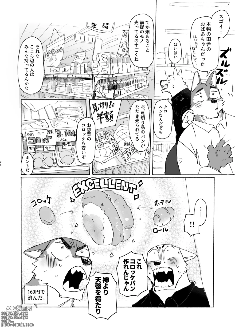 Page 27 of manga Noradora Tochigi