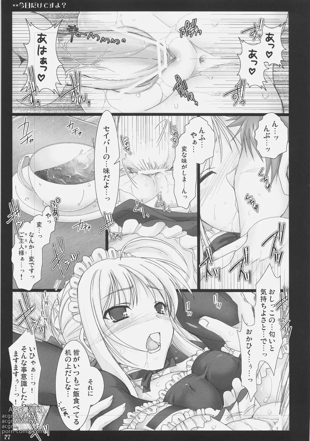 Page 26 of doujinshi Kyou dake desu yo?