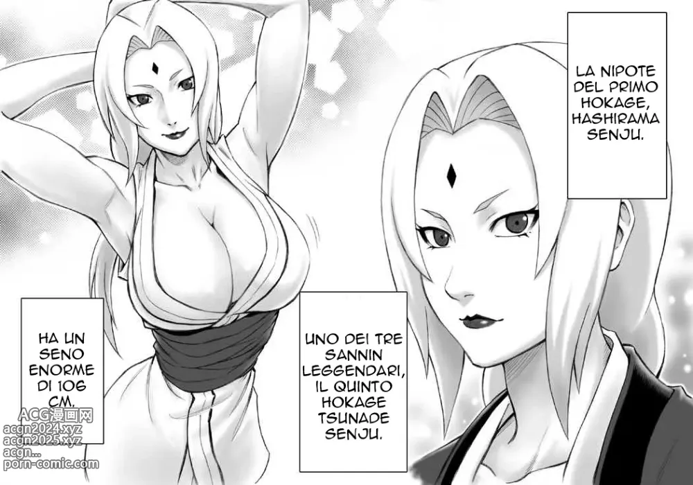 Page 3 of doujinshi I want to impregnate Tsunade-sama!