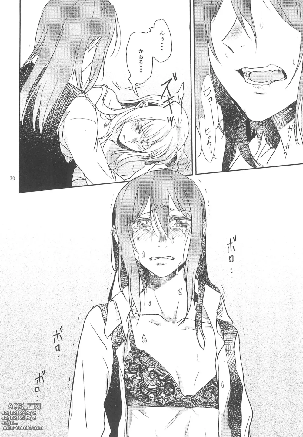 Page 30 of doujinshi Kimi no Tame ni Watashi ni wa