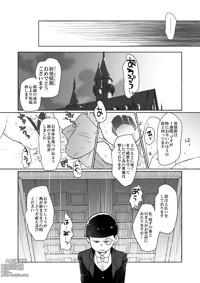 Page 26 of doujinshi Shining Bell o Narashite