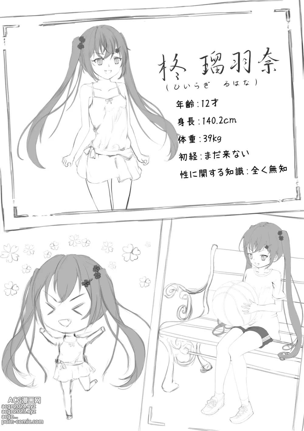 Page 2 of doujinshi Lucky Ruhana no Roshutsu Bouken 1